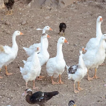 Landhuis S'ozzastru *