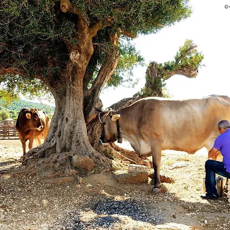 Venkovský dům S'ozzastru *