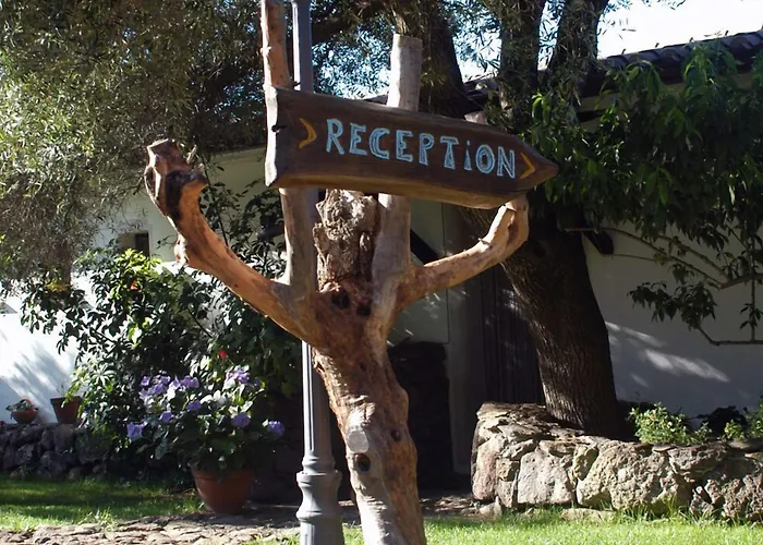 S'ozzastru